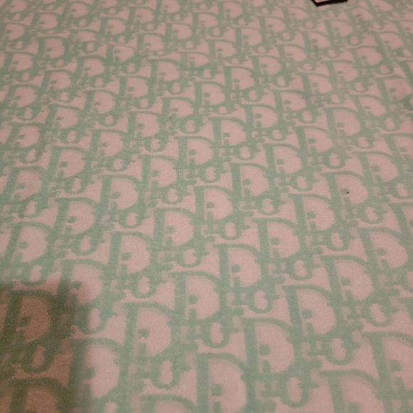 Mint Green Dior Oblique T Shirt - Picture 3 of 3